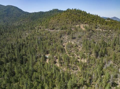 177 Stone Dr, Williams, OR 97544 photo 28