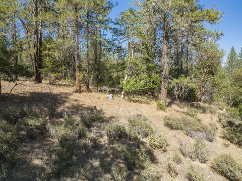 177 Stone Dr, Williams, OR 97544 photo 1