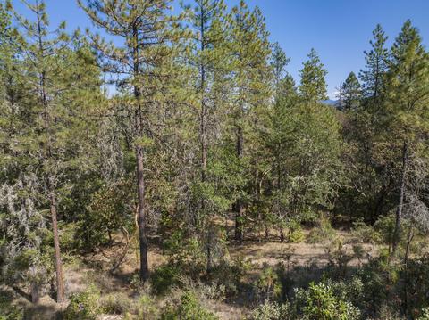 177 Stone Dr, Williams, OR 97544 photo 12