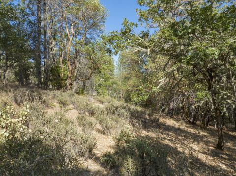 177 Stone Dr, Williams, OR 97544 photo 6
