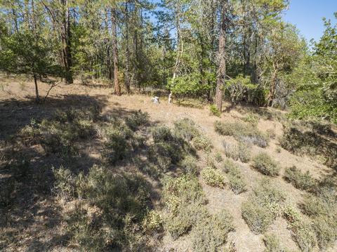 177 Stone Dr, Williams, OR 97544 photo 4