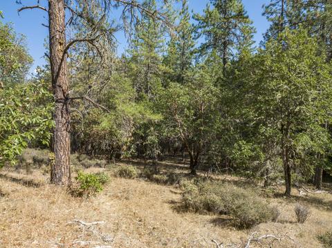 177 Stone Dr, Williams, OR 97544 photo 2