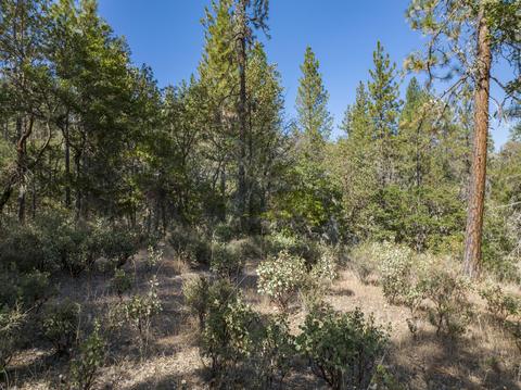 177 Stone Dr, Williams, OR 97544 photo 10