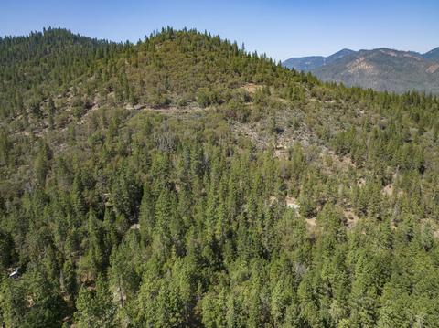 177 Stone Dr, Williams, OR 97544 photo 29