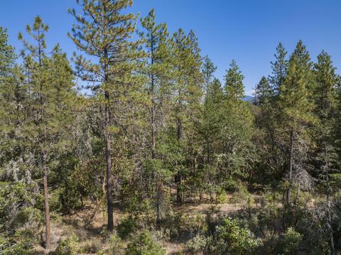 177 Stone Dr, Williams, OR 97544 photo 13