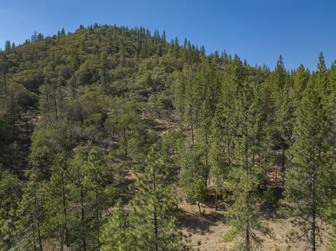 177 Stone Dr, Williams, OR 97544 photo 15