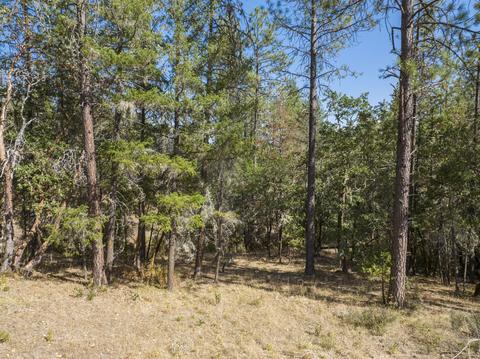 196 Stone Dr, Williams, OR 97544 photo 29