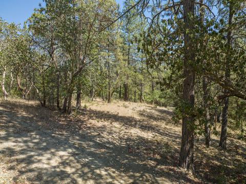 196 Stone Dr, Williams, OR 97544 photo 4