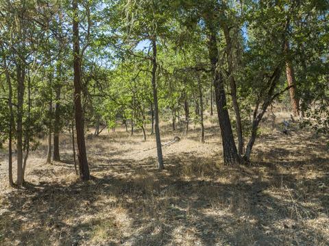 196 Stone Dr, Williams, OR 97544 photo 12