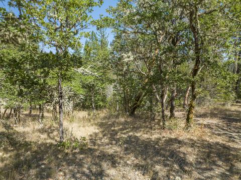 196 Stone Dr, Williams, OR 97544 photo 23