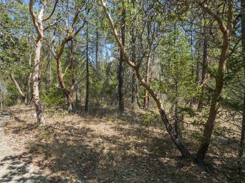 196 Stone Dr, Williams, OR 97544 photo 19