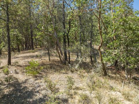 196 Stone Dr, Williams, OR 97544 photo 24