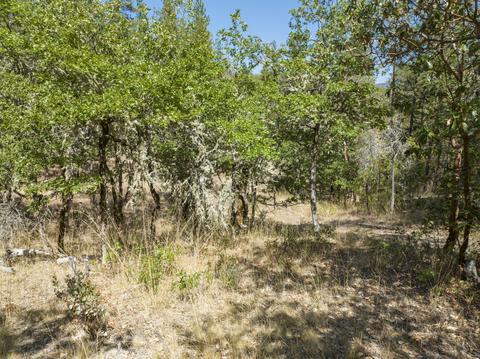 196 Stone Dr, Williams, OR 97544 photo 25