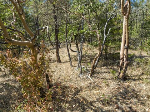 196 Stone Dr, Williams, OR 97544 photo 17
