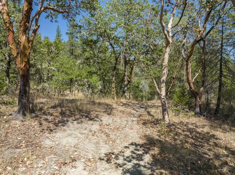 196 Stone Dr, Williams, OR 97544 photo 14