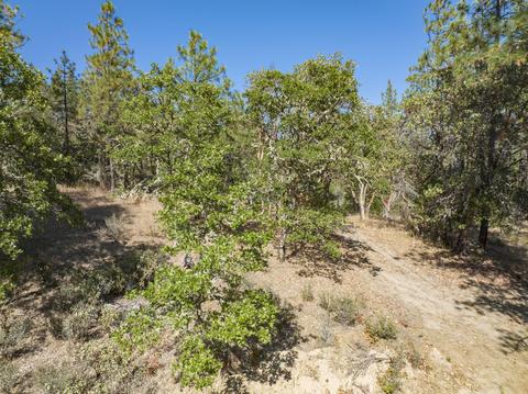 196 Stone Dr, Williams, OR 97544 photo 11