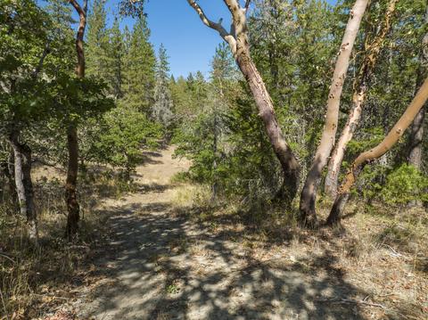196 Stone Dr, Williams, OR 97544 photo 13