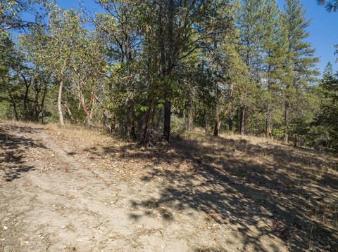 196 Stone Dr, Williams, OR 97544 photo 27