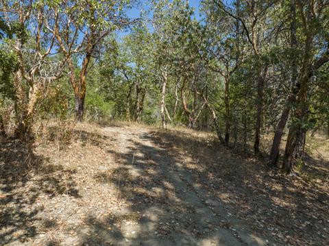 196 Stone Dr, Williams, OR 97544 photo 6