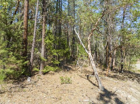 196 Stone Dr, Williams, OR 97544 photo 15