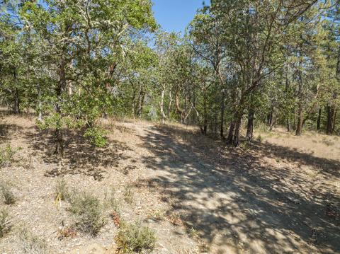 196 Stone Dr, Williams, OR 97544 photo 5