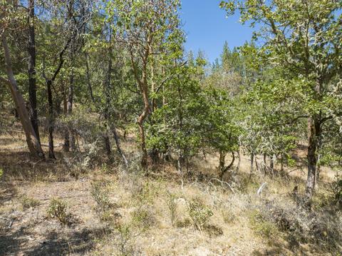 196 Stone Dr, Williams, OR 97544 photo 22