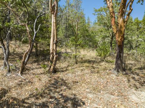196 Stone Dr, Williams, OR 97544 photo 16