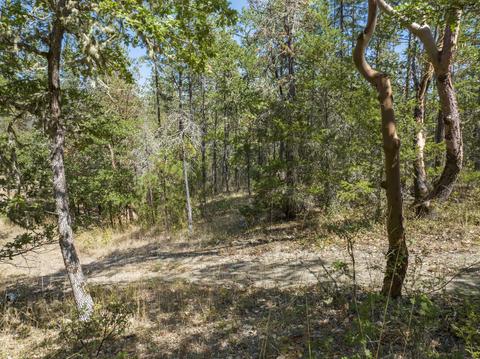 196 Stone Dr, Williams, OR 97544 photo 26