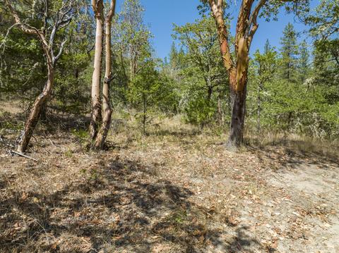 196 Stone Dr, Williams, OR 97544 photo 20
