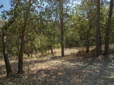 196 Stone Dr, Williams, OR 97544 photo 18