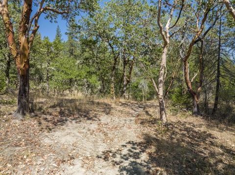 196 Stone Dr, Williams, OR 97544 photo 7