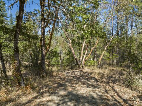196 Stone Dr, Williams, OR 97544 photo 28