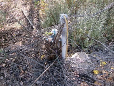 Pine Ridge Loop, Chiloquin, OR 97624 photo 6