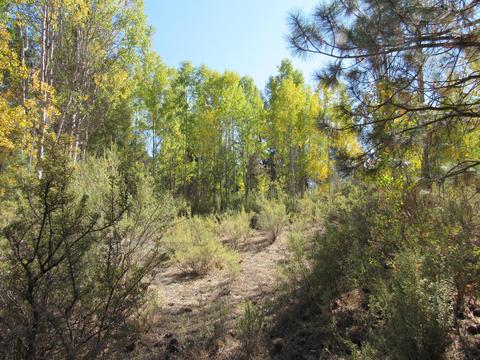 Pine Ridge Loop, Chiloquin, OR 97624 photo 3