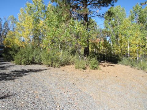 Pine Ridge Loop, Chiloquin, OR 97624 photo 7