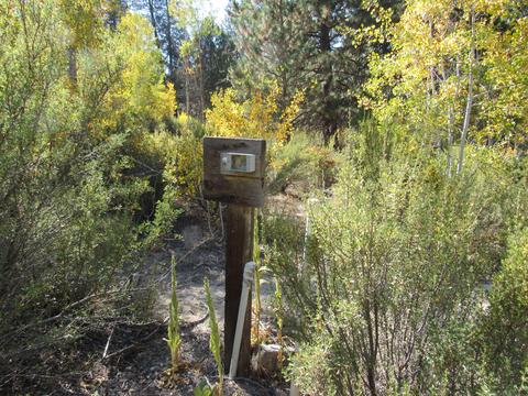 Pine Ridge Loop, Chiloquin, OR 97624 photo 5