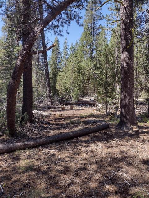 Scott View Drive, Chiloquin, OR 97624