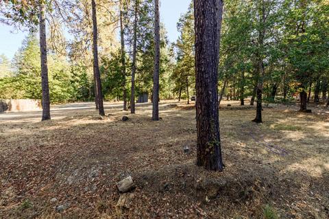 1416 Queens Branch Rd, Rogue River, OR 97537 photo 41