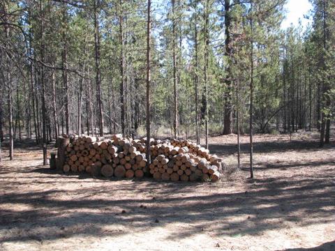 51360 Mitchell Rd, La Pine, OR 97739 photo 15