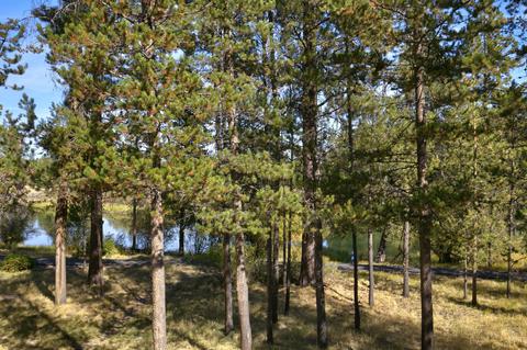 55631 Wagon Master Way, Bend, OR 97707 photo 1