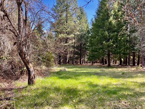255 Davidson Rd, Williams, OR 97544 photo 37