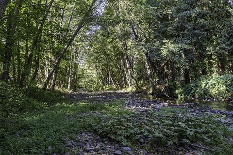 255 Davidson Rd, Williams, OR 97544 photo 77