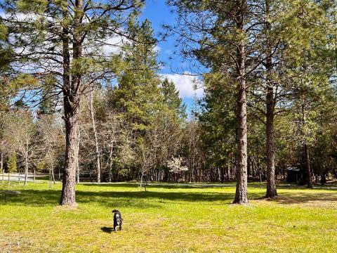 255 Davidson Rd, Williams, OR 97544 photo 11