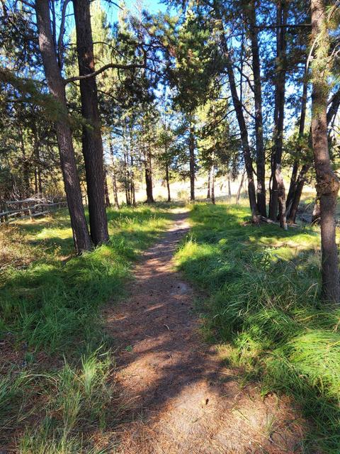 53345 Riverview Dr, La Pine, OR 97739 photo 46