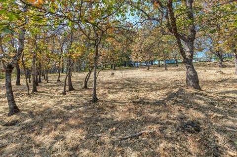 602 Prim Street, Ashland, OR 97520