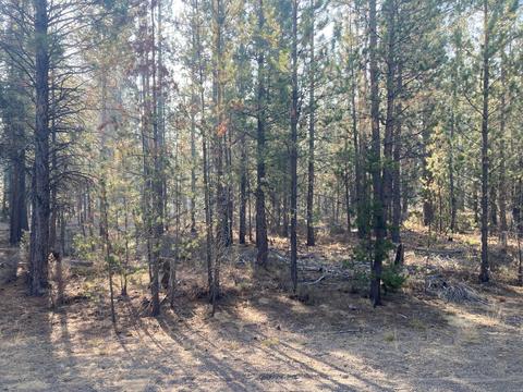 50853 Fawn Loop, La Pine, OR 97739 photo 3