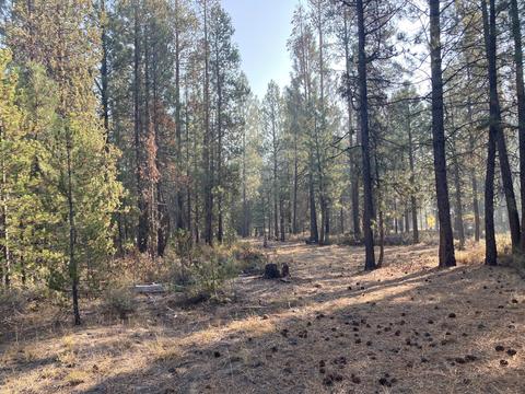 50853 Fawn Loop, La Pine, OR 97739 photo 1