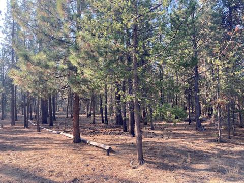 50853 Fawn Loop, La Pine, OR 97739 photo 2