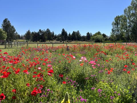 63955 E Quail Haven Dr, Bend, OR 97703 photo 29