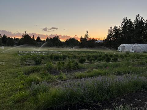 63955 E Quail Haven Dr, Bend, OR 97703 photo 27